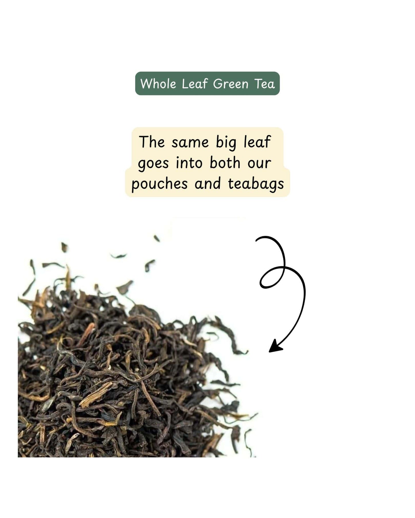 Whole leaf green tea with text explaining its use in pouches and teabags.