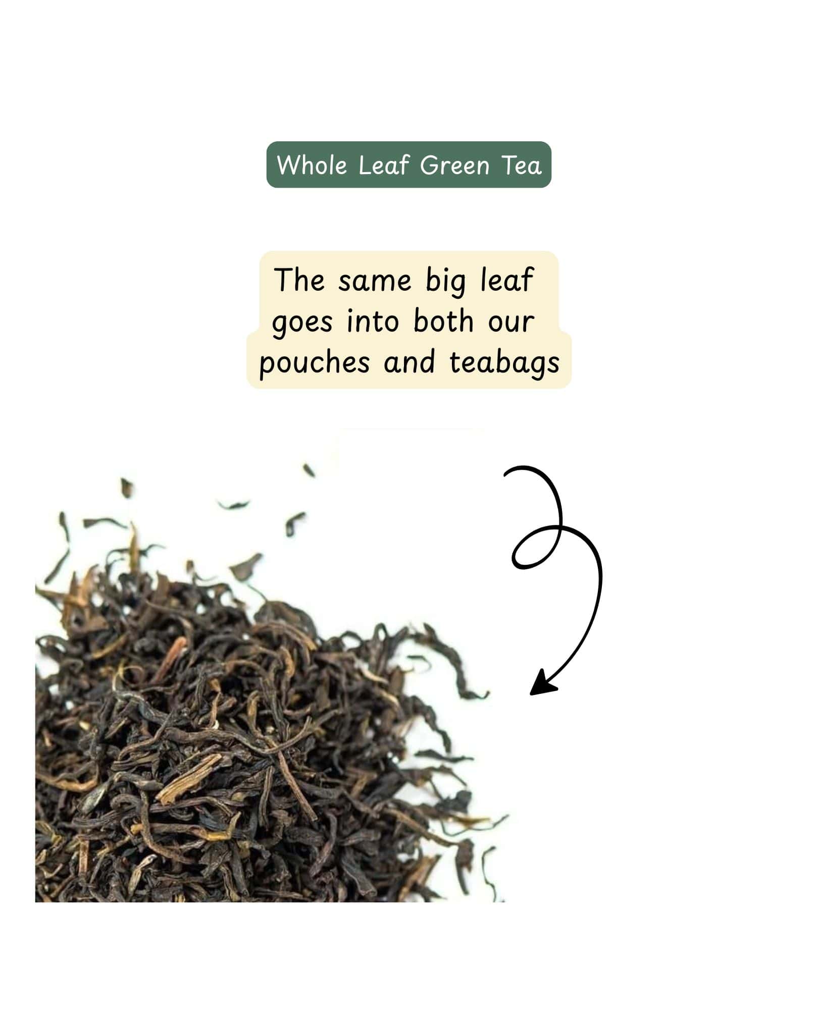 Whole leaf green tea with text explaining its use in pouches and teabags.